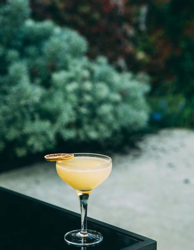 sugar lemon cocktail 3